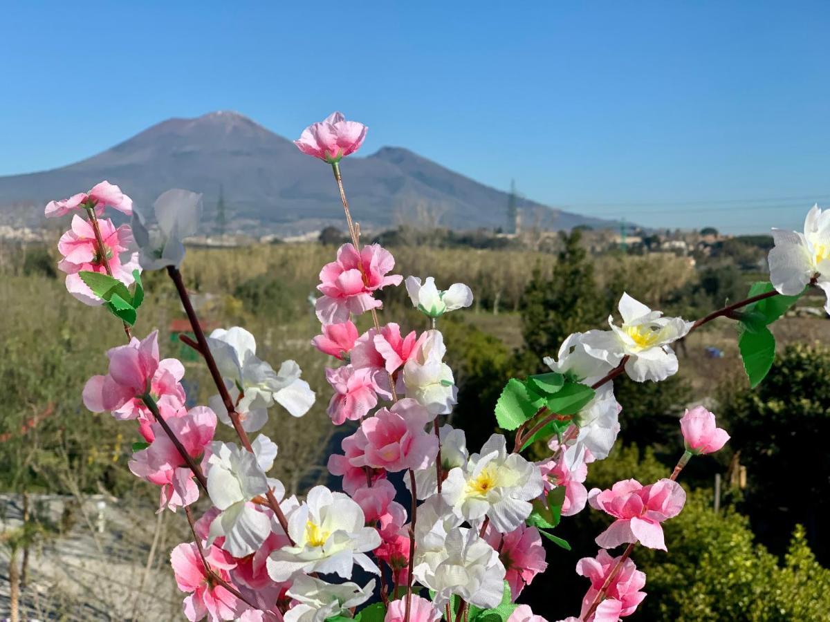 Villa Valentino Pompeji Kültér fotó